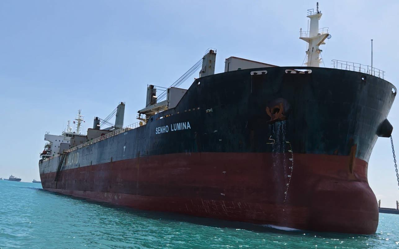 M.V. SENHO LUMINA