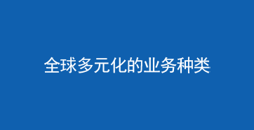全球多元化的业务种类